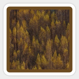 Autumn Woods Sticker